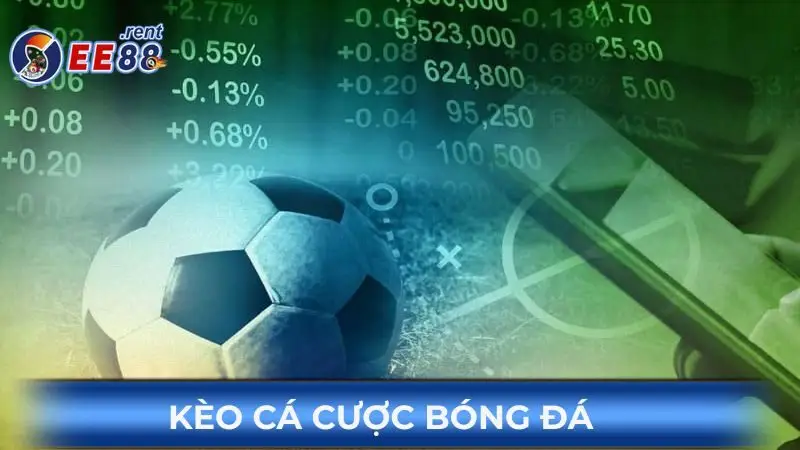 cach-doc-keo-bong-da